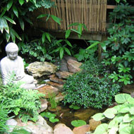 Японский садик